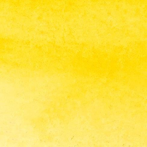 Cadmium Yellow Hue