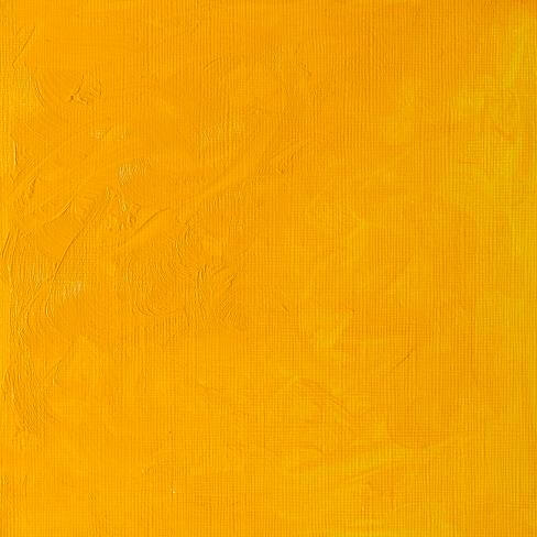 Cadmium Yellow Medium