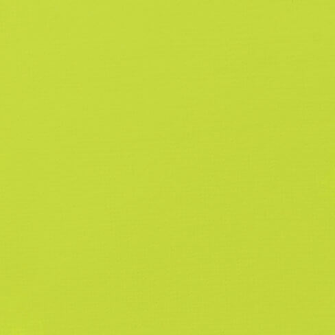 Vivid Lime Green