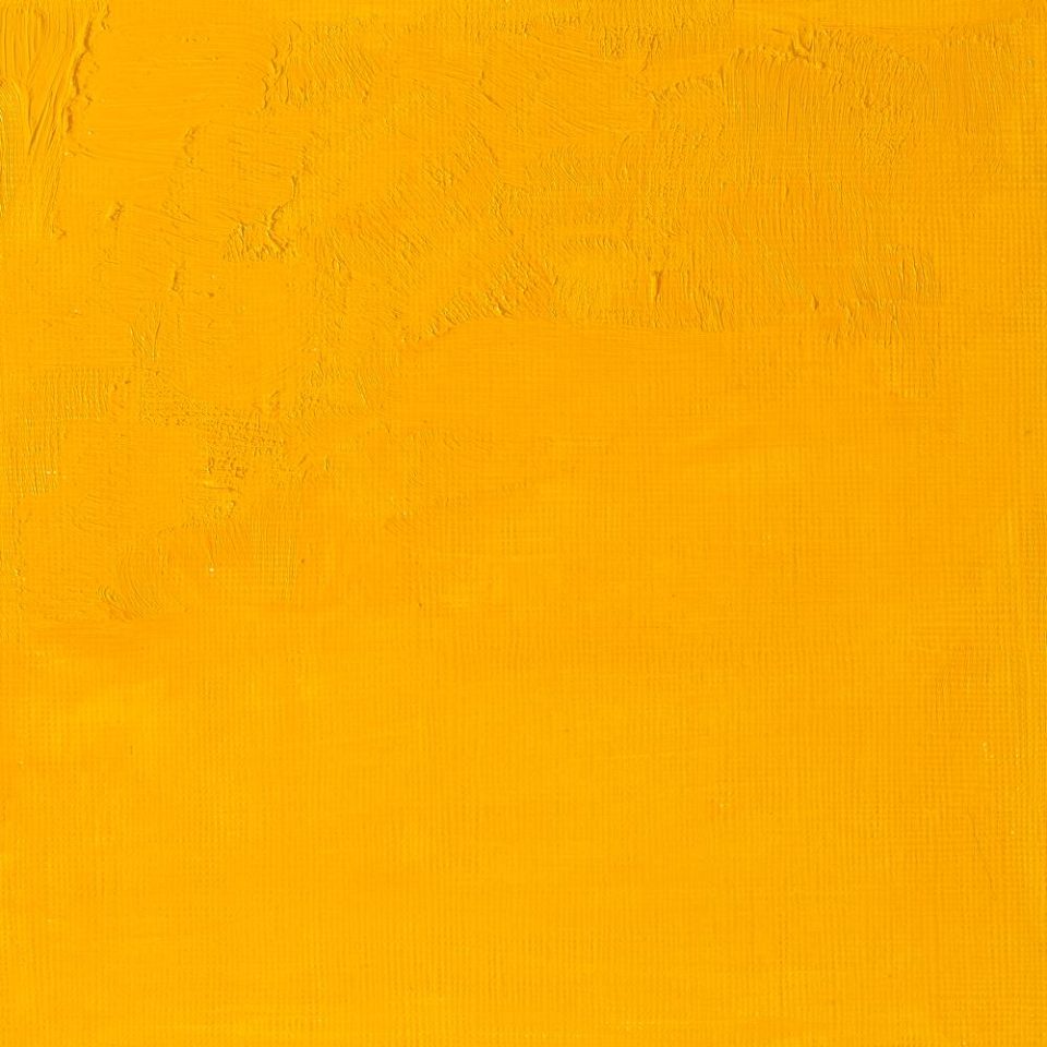 Cadmium Yellow Medium