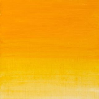 Cadmium Yellow Hue